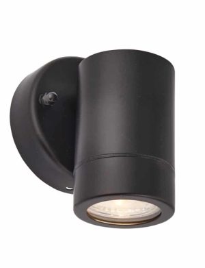Palin stainless steel outdoor wall down spot light in black