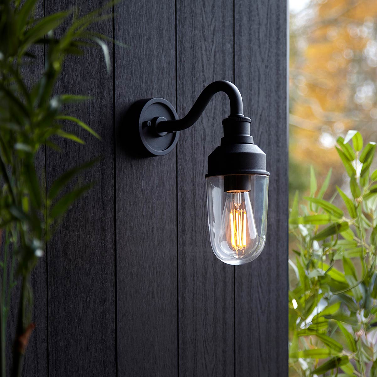 Gooseneck Outdoor Wall Light in Black with Clear Glass IP44