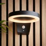 Endon Ebro Contemporary Solar PIR Outdoor Wall Light Black