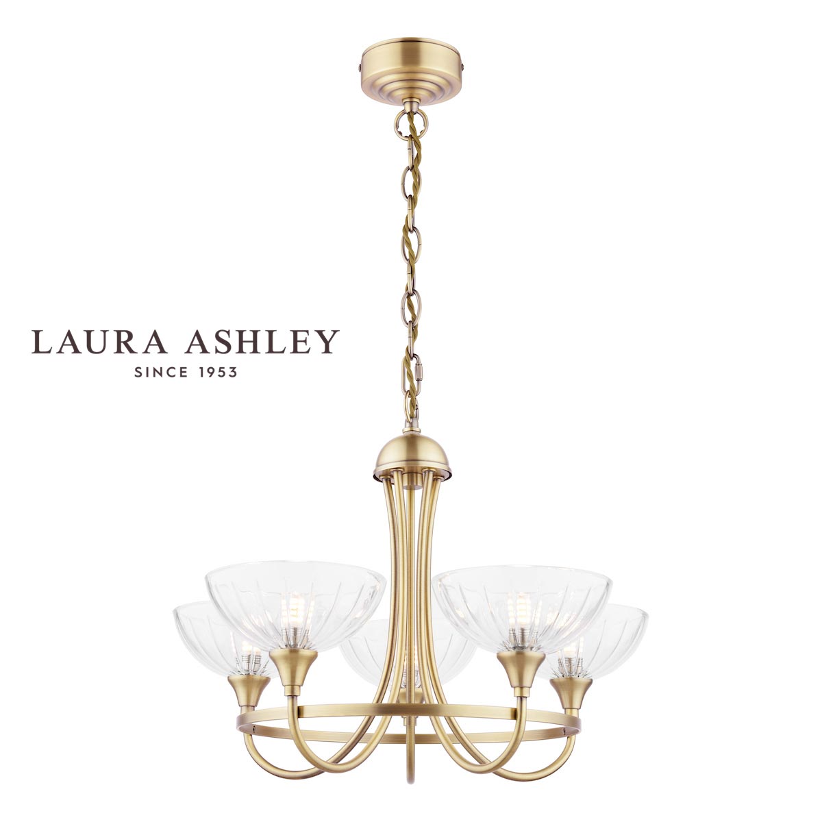 Wellham 5 Light Antique Brass Chandelier With Glass Shades