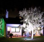 LED Garden Lights