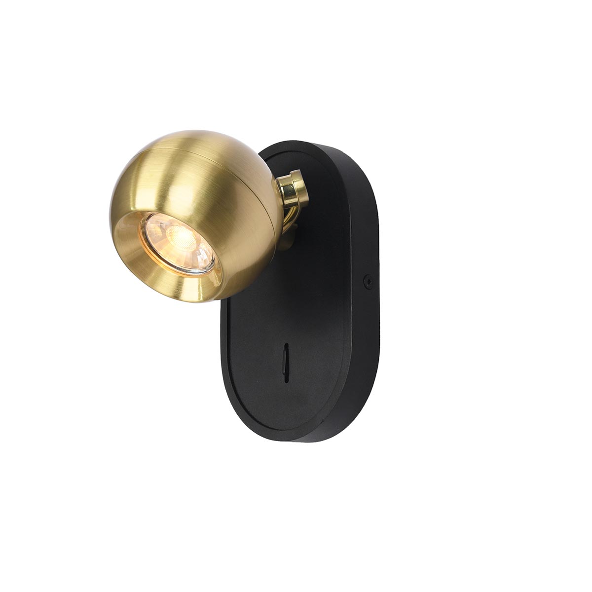 Lens Switched Single Wall Spotlight Black and Aged Brass