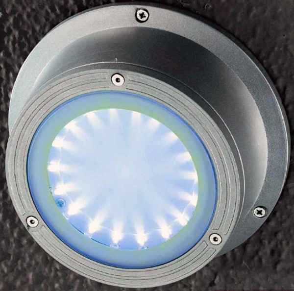 Special Offer Modern 5w LED Outdoor Wall Light Silver Finish IP54