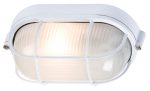 White Industrial Outdoor Oval Bulkhead Wire Guard Opal Glass IP54