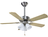 Fantasia Ceiling Fans