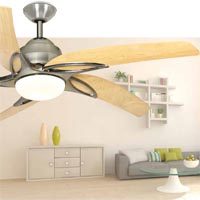 Fantasia Fans, Lights & Accessories