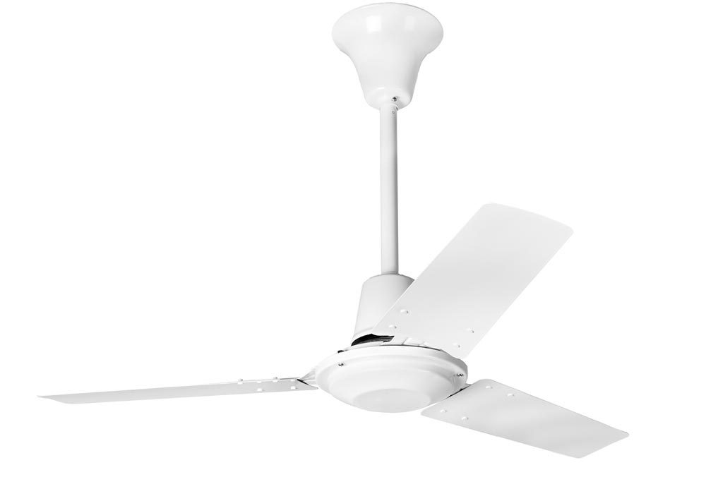 Fantasia 36 Commercial Ceiling Fan White Forward Reverse 111870 Fantasia 36 Commercial Ceiling Fan White Forward Reverse