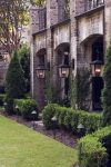 Hinkley Trellis 4 Light Large Outdoor Wall Lantern Regency Bronze