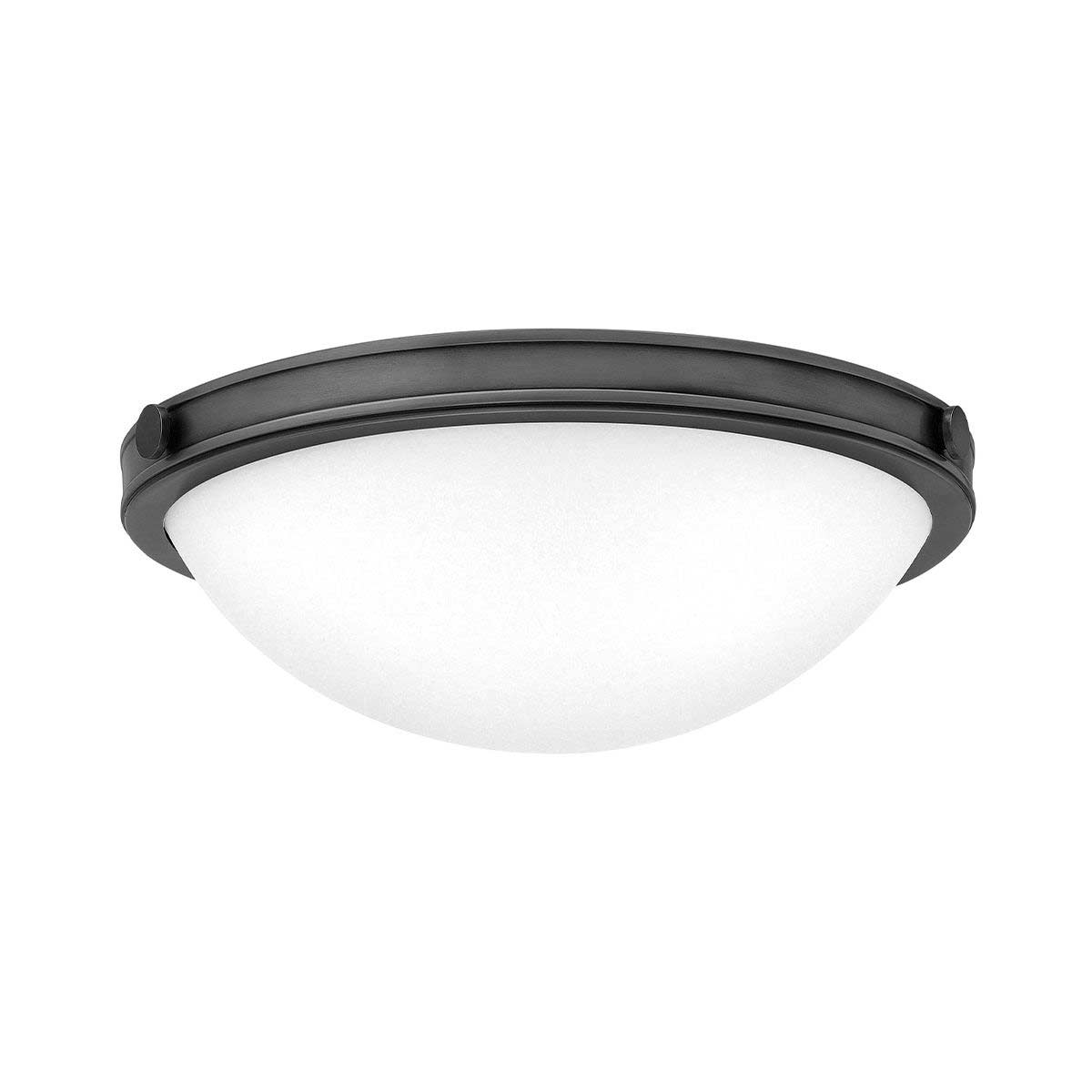 Hinkley Collier 2 Light Flush Mount Ceiling Light in Black Oxide