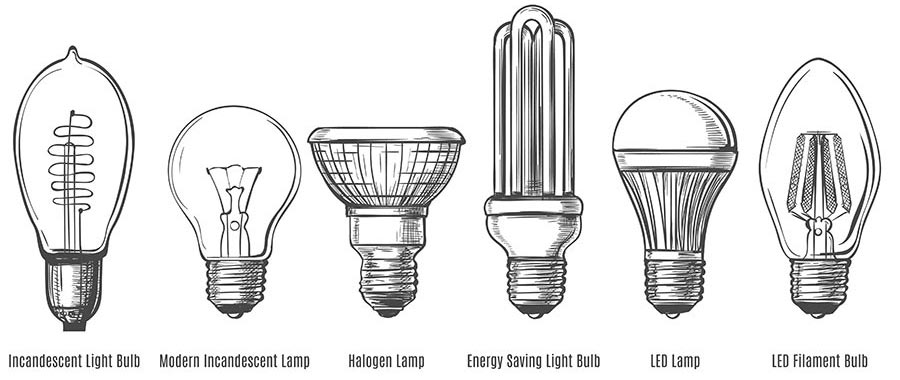 Light bulb evolution chart showing incandescent, halogen, energy saving CFL and LED bulbs in a row