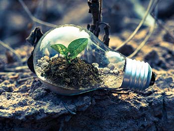 Lighting and Net Zero article thumbnail image