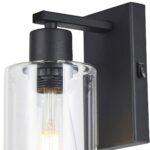 Dar Miu Switched Industrial Wall Light Black Clear Glass
