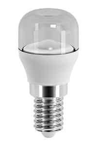 Pygmy light bulb image on white background