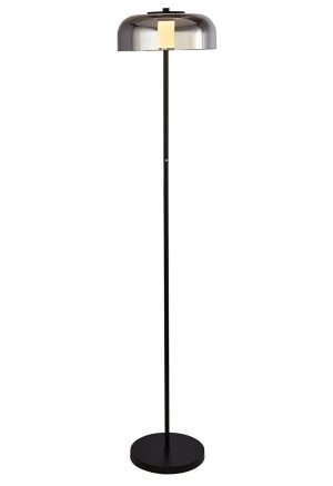 Modern 1 light dimming LED floor lamp matt black smoked glass frisbee shade full height